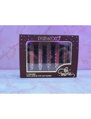 LOT DE 5 GLOSS